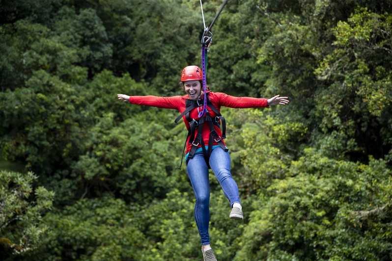 Zip Line